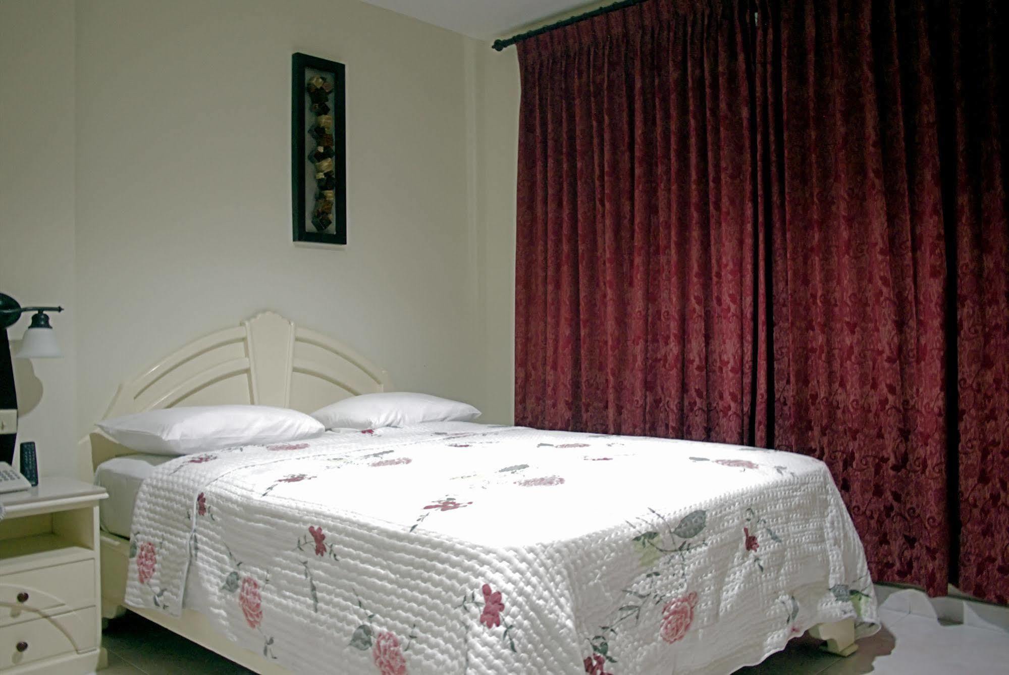 Hotel Castilla ديفيد المظهر الخارجي الصورة